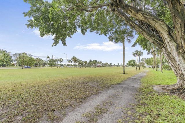 view of community featuring a yard