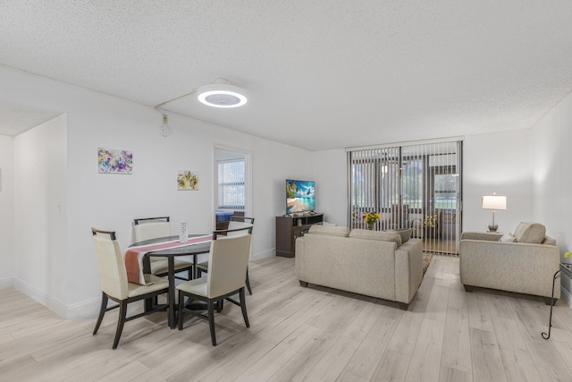 living room with a textured ceiling and light wood-type flooring