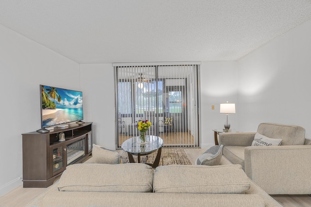 living room featuring wood-type flooring and a textured ceiling