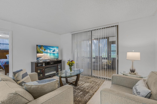 living room with hardwood / wood-style floors and a textured ceiling