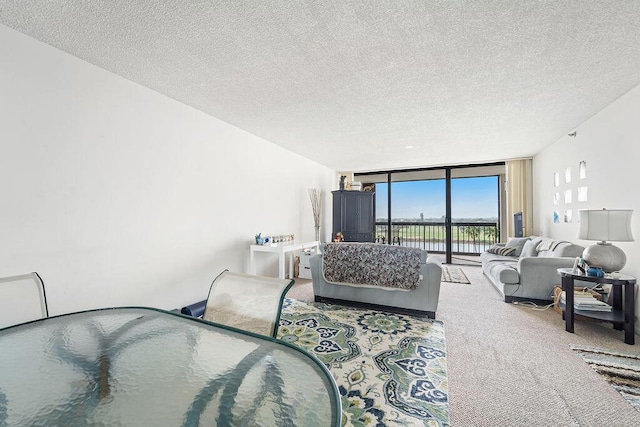 carpeted living room with a textured ceiling and floor to ceiling windows