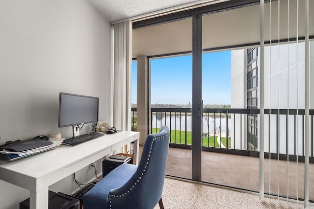 carpeted office space with a textured ceiling and floor to ceiling windows