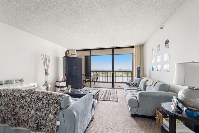 carpeted living room with a textured ceiling and expansive windows