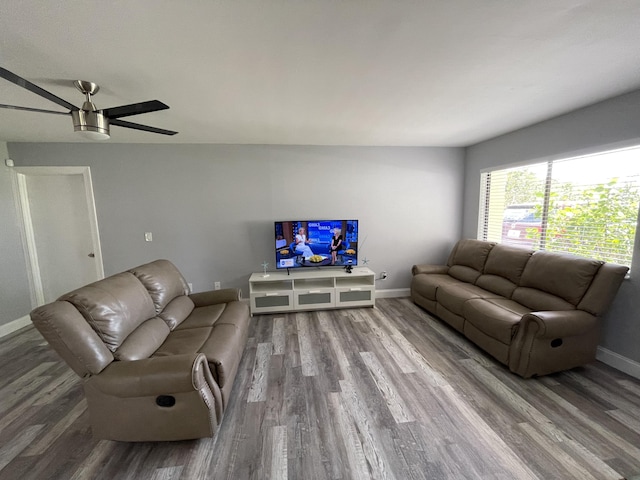 living room with ceiling fan and wood-type flooring