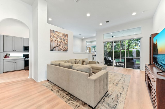 living room with light wood-type flooring