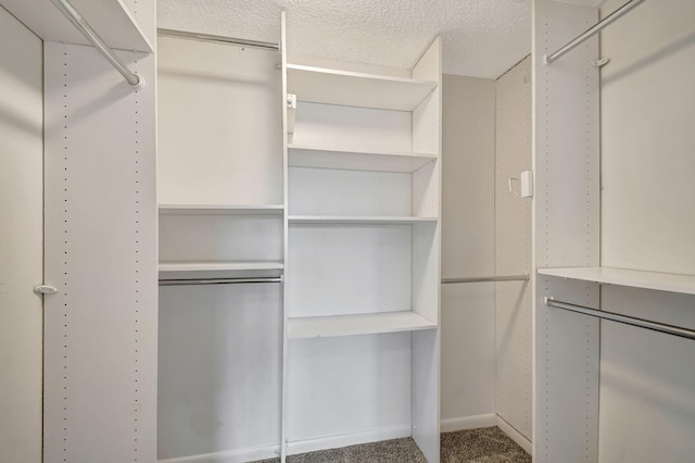 spacious closet with carpet floors