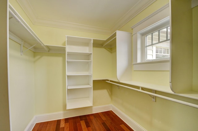 walk in closet featuring hardwood / wood-style floors