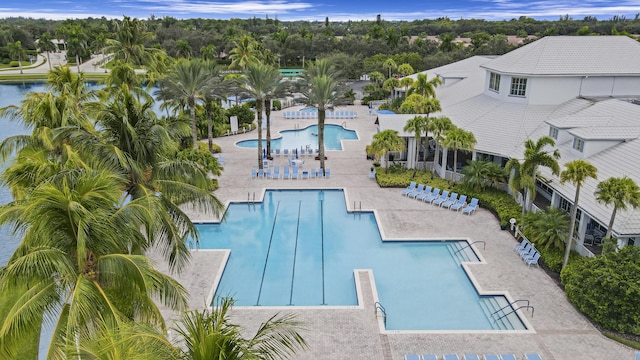 view of pool featuring a patio area