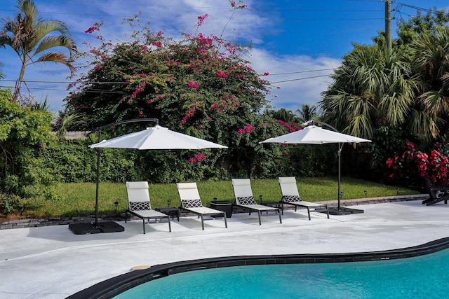 view of pool featuring a patio area and a lawn