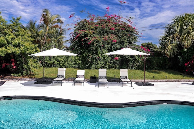 view of pool with a patio area and a lawn