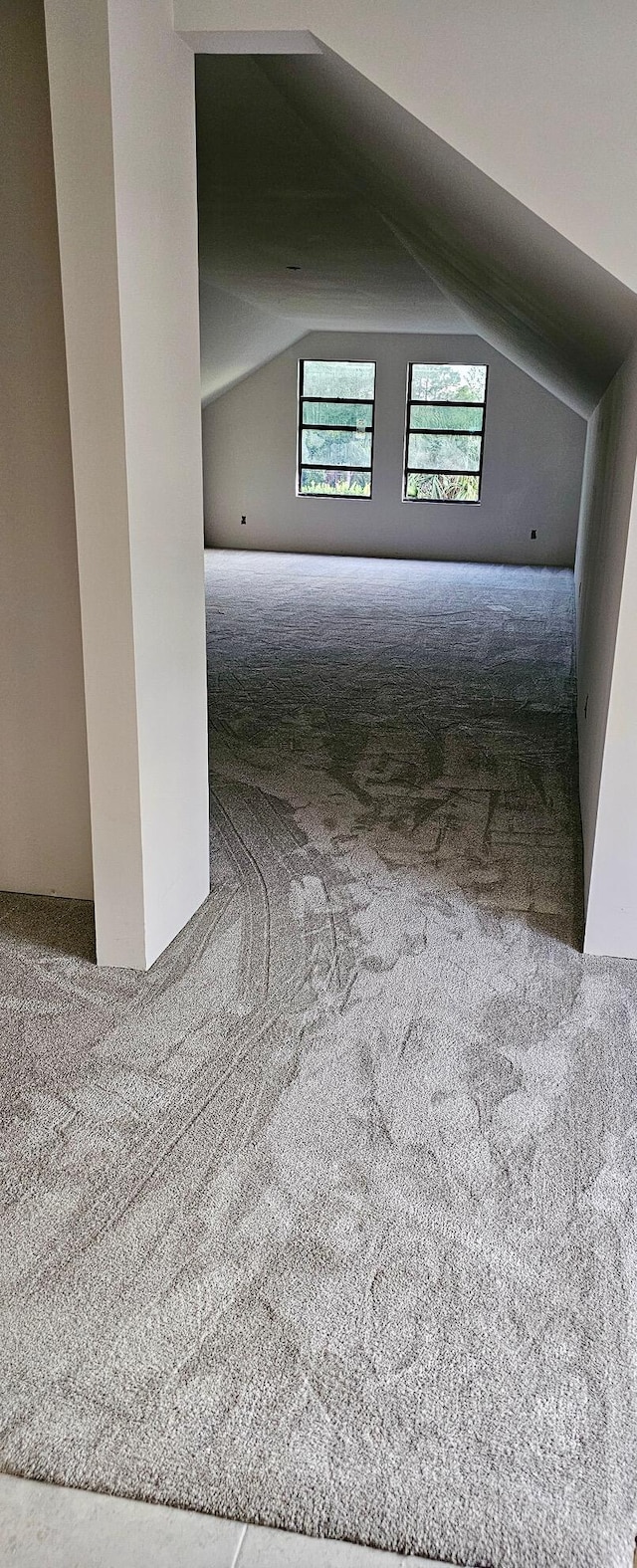 interior space with lofted ceiling and carpet flooring