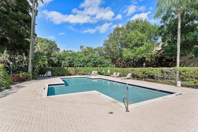 view of swimming pool with a patio area