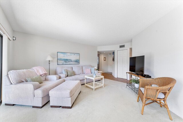 living room with a textured ceiling