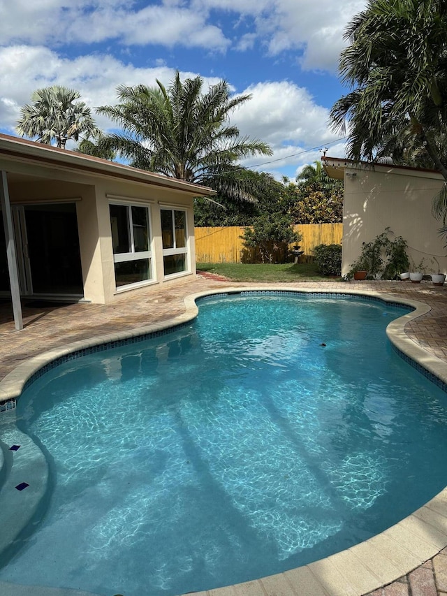 view of swimming pool with a patio area