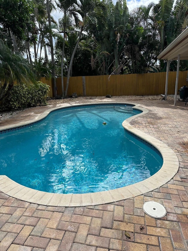 view of swimming pool with a patio area