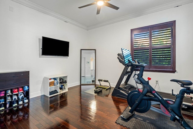 exercise area with ceiling fan, dark hardwood / wood-style flooring, and crown molding