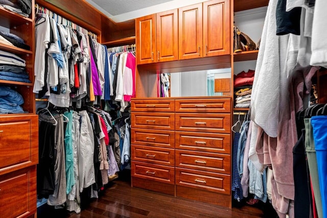 walk in closet featuring dark wood-type flooring