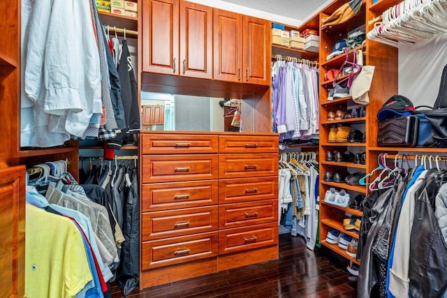 spacious closet featuring dark wood-type flooring