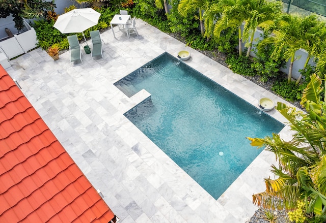 view of pool featuring a patio area and pool water feature