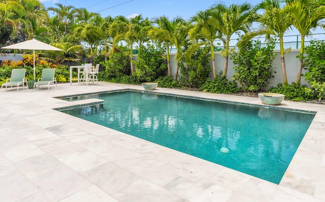 view of pool featuring a patio