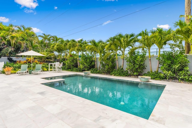 view of swimming pool with a patio