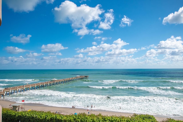 water view featuring a beach view