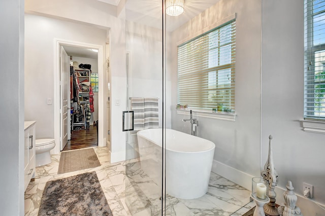 bathroom with vanity, independent shower and bath, and a healthy amount of sunlight