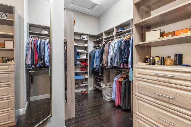 walk in closet featuring dark wood-type flooring