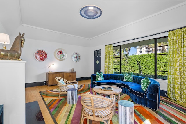 living room featuring hardwood / wood-style floors