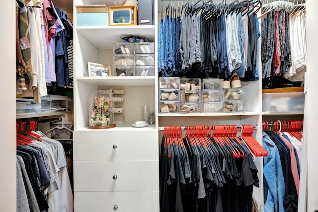 view of spacious closet