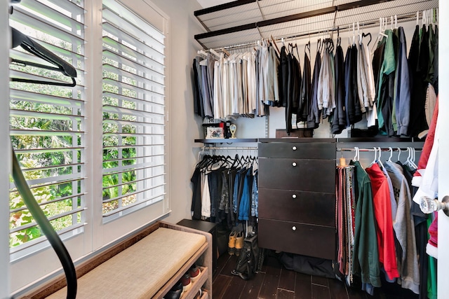 walk in closet featuring dark hardwood / wood-style flooring