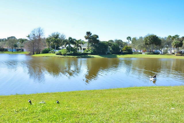 view of water feature