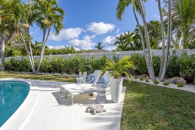 view of swimming pool with a patio area