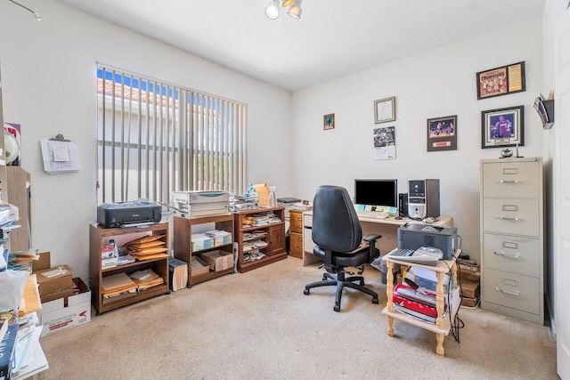 office space featuring carpet floors