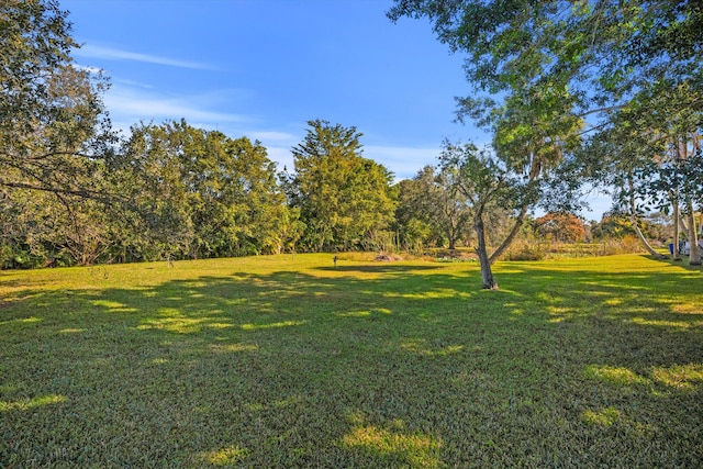 view of yard