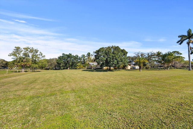 view of yard with a rural view