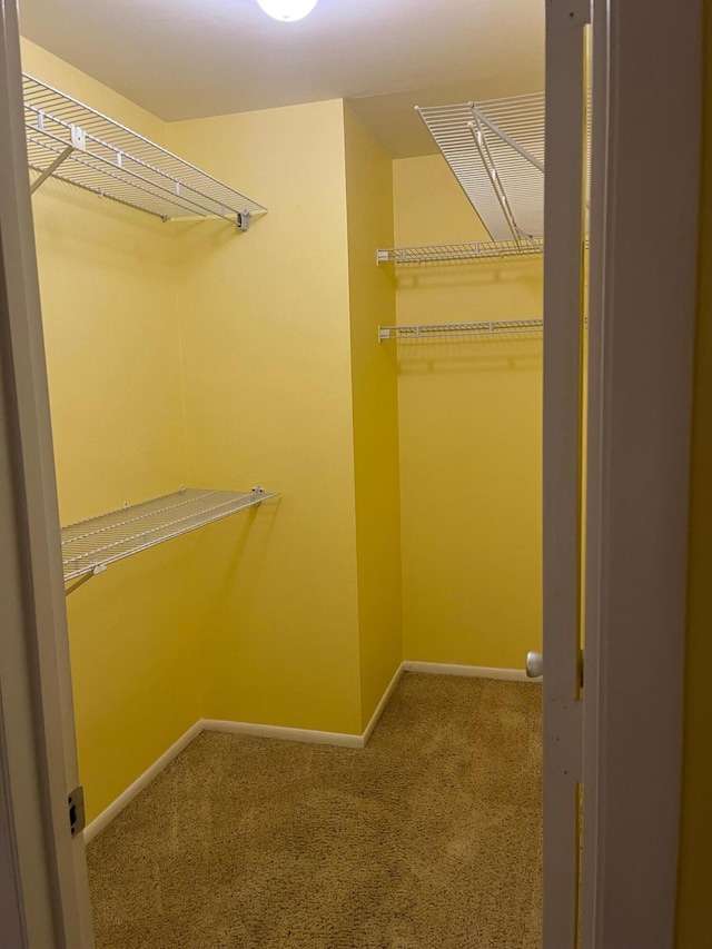 walk in closet featuring carpet