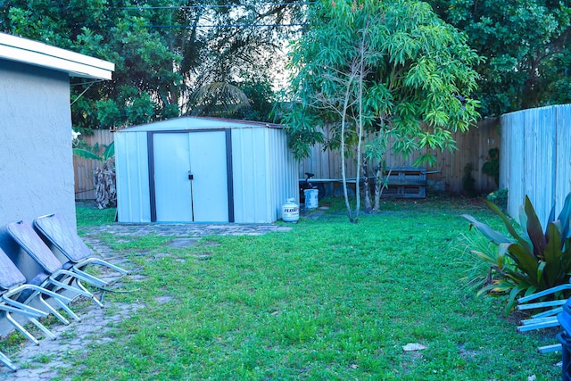 view of yard with a storage unit