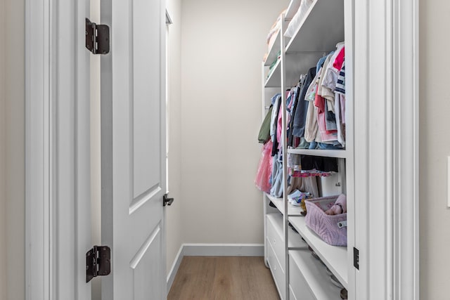 spacious closet featuring light hardwood / wood-style flooring