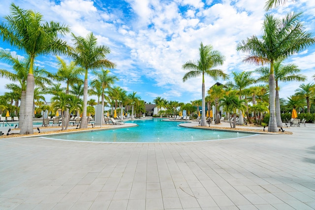 view of swimming pool with a patio