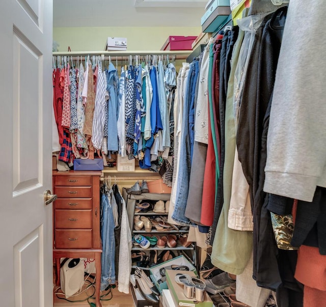 spacious closet with hardwood / wood-style floors