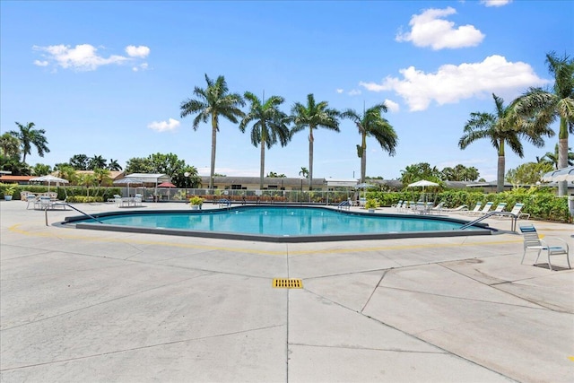 view of pool featuring a patio area