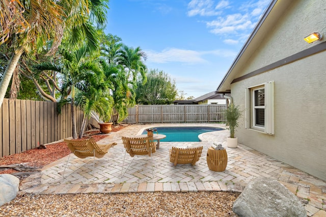 view of swimming pool with a patio