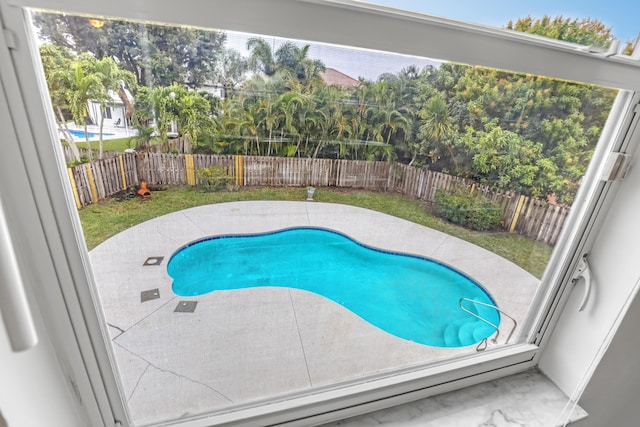 view of pool with a patio area