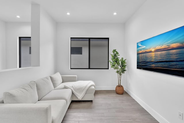 living room featuring light hardwood / wood-style floors