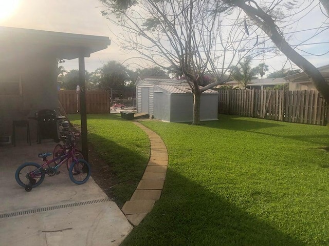 view of yard with a patio and a storage unit