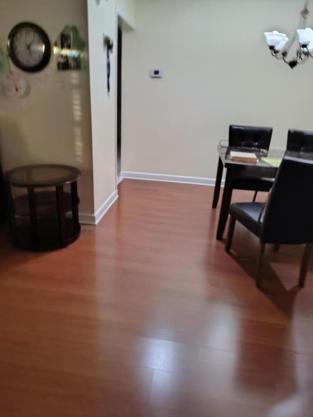 dining space with hardwood / wood-style floors