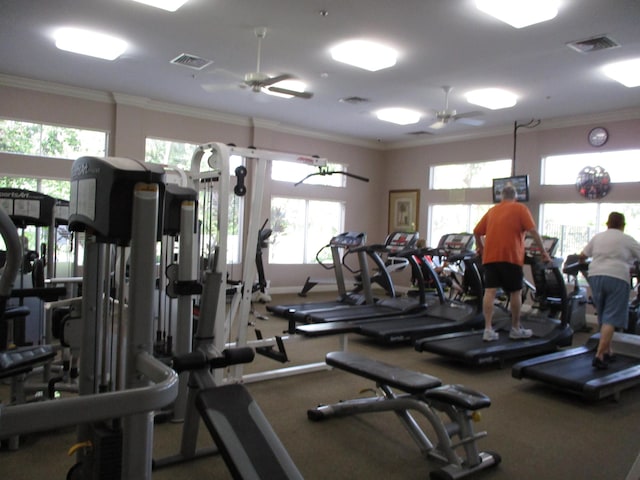 exercise room with ornamental molding, a wealth of natural light, and ceiling fan