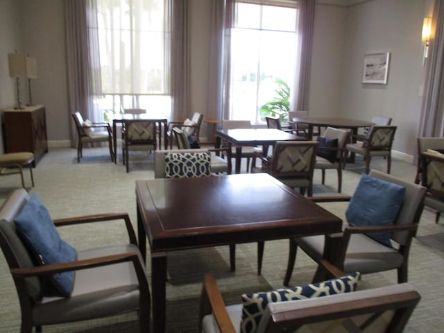 dining room with plenty of natural light and carpet