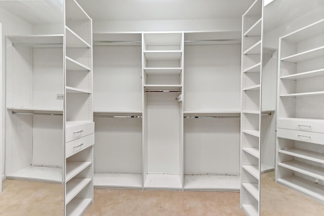 view of walk in closet